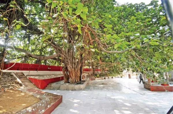 Akshayavat