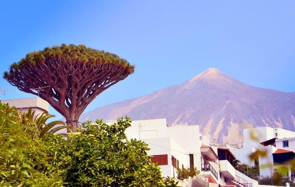 Teide Volcano Tours