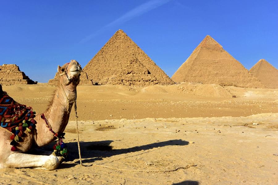 Giza Pyramids Half Day Tour From Cairo Highlights