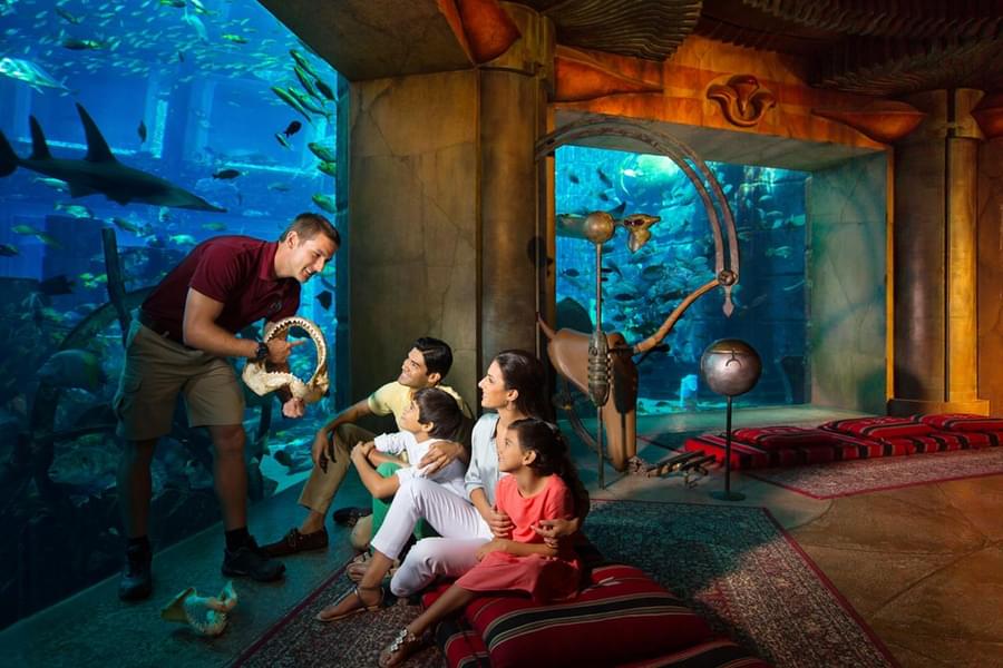  Learn about the importance of marine life in conservation sessions of the Aquarium