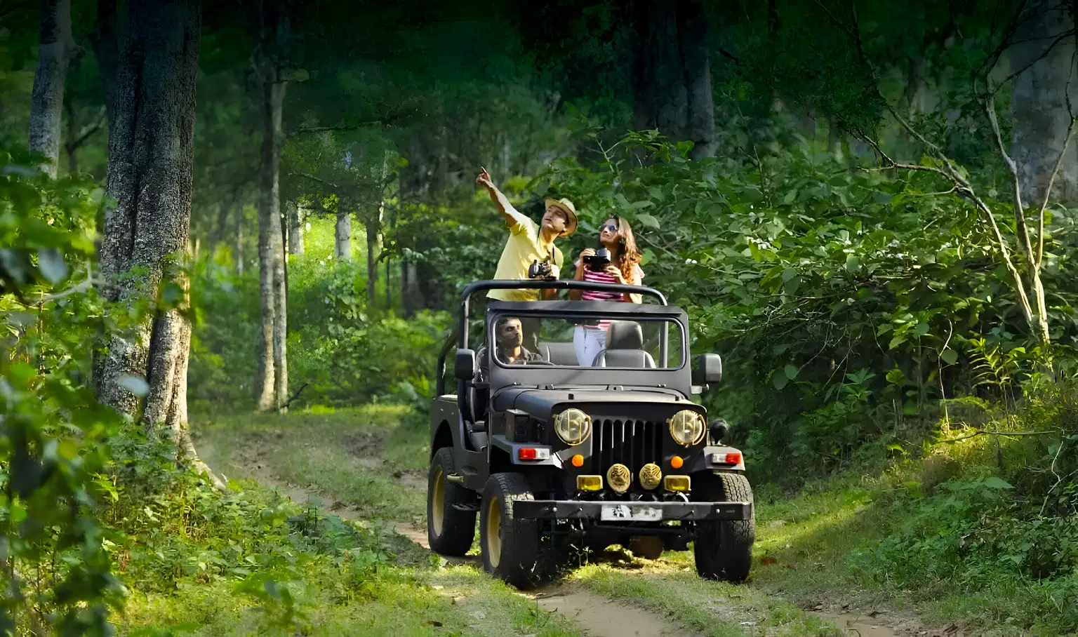Mandalpatti Jeep Safari, Coorg