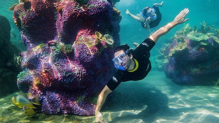 Discovery Cove