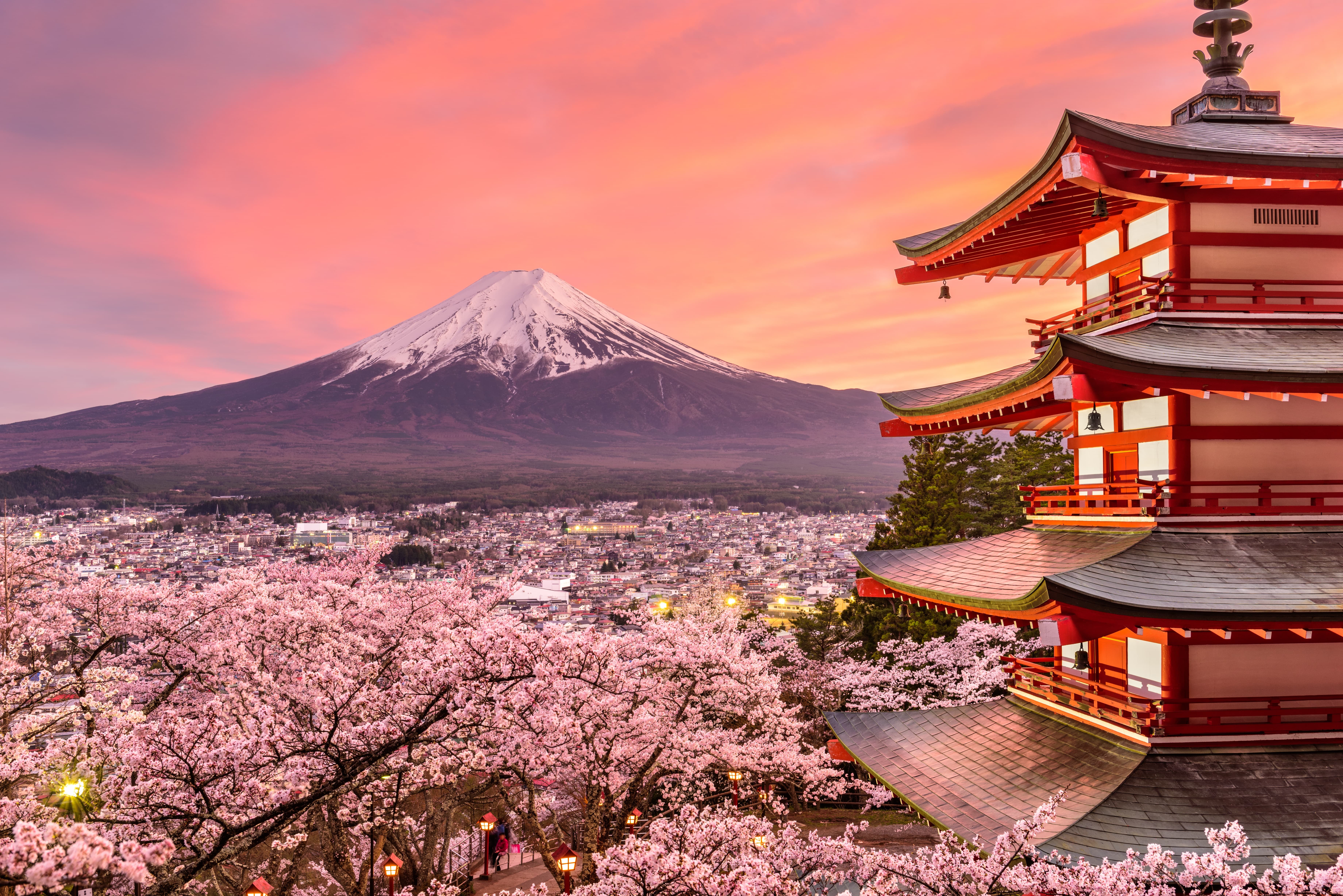 Best of Japan | A Cultural Odyssey Across Osaka & Tokyo