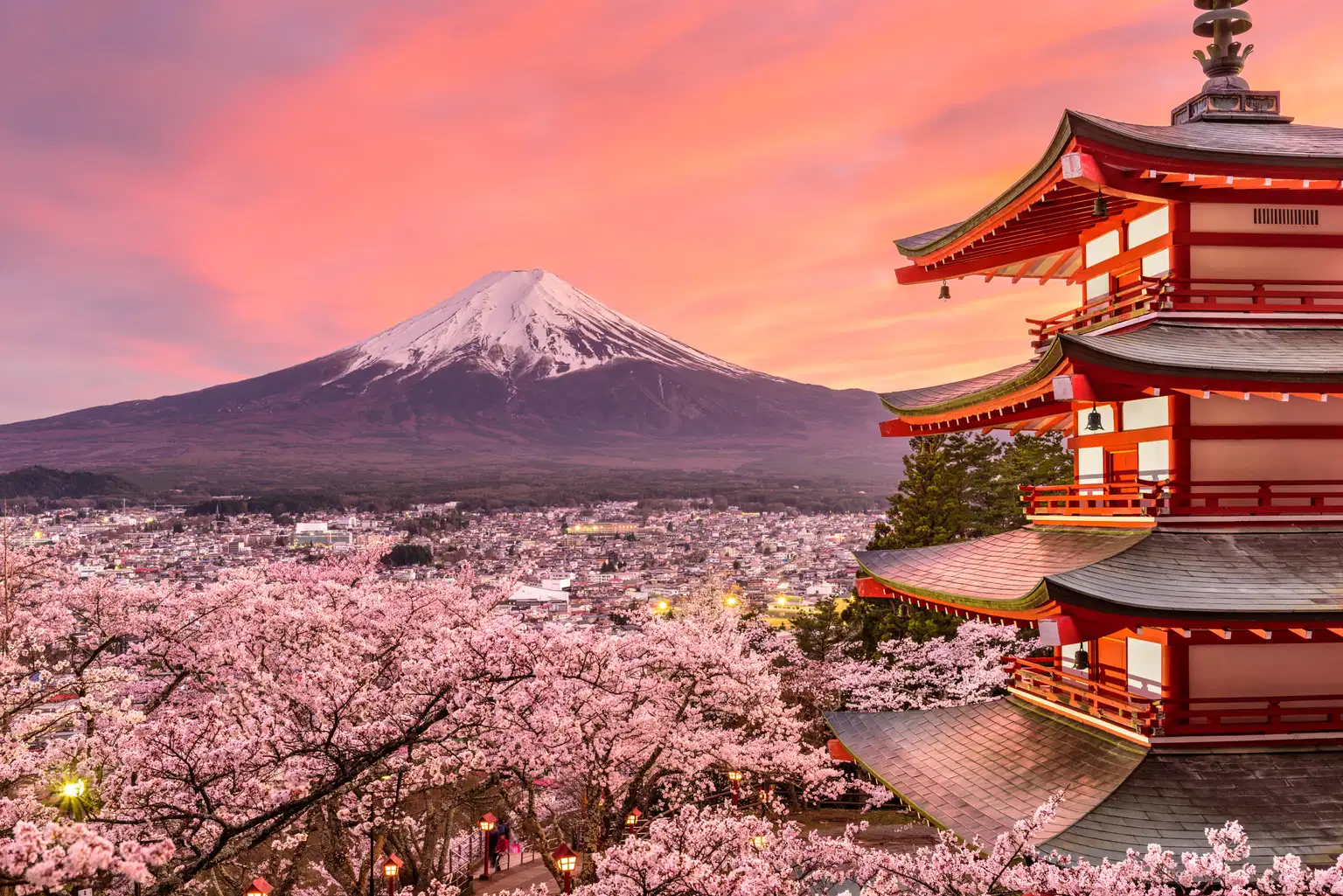 Best of Japan | A Cultural Odyssey Across Osaka & Tokyo