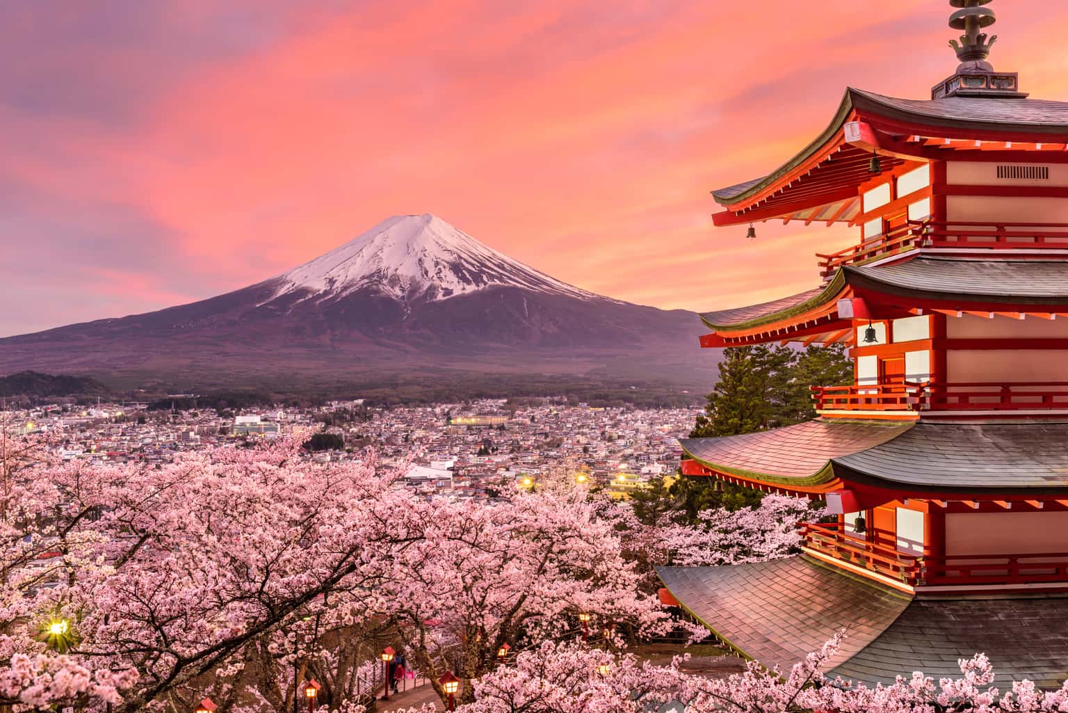 Best of Japan | A Cultural Odyssey Across Osaka & Tokyo