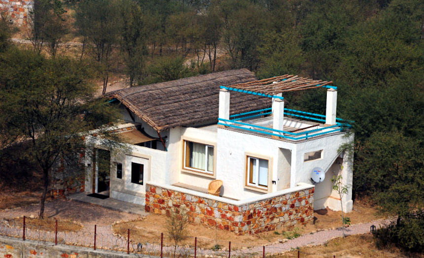Trees and Tigers Wildlife Resort, Sariska | Luxury Staycation Deal