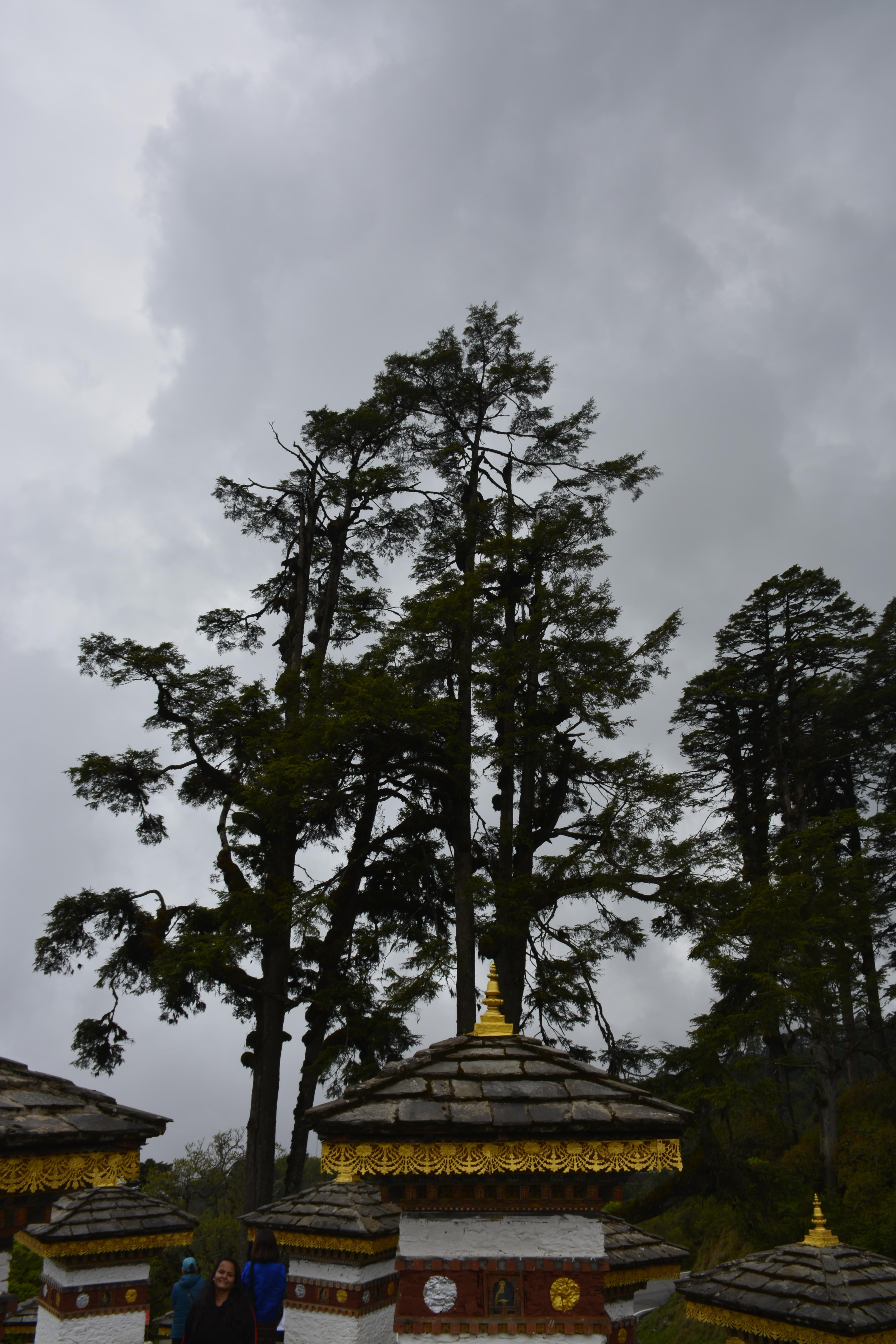 Shrovan Bhangar