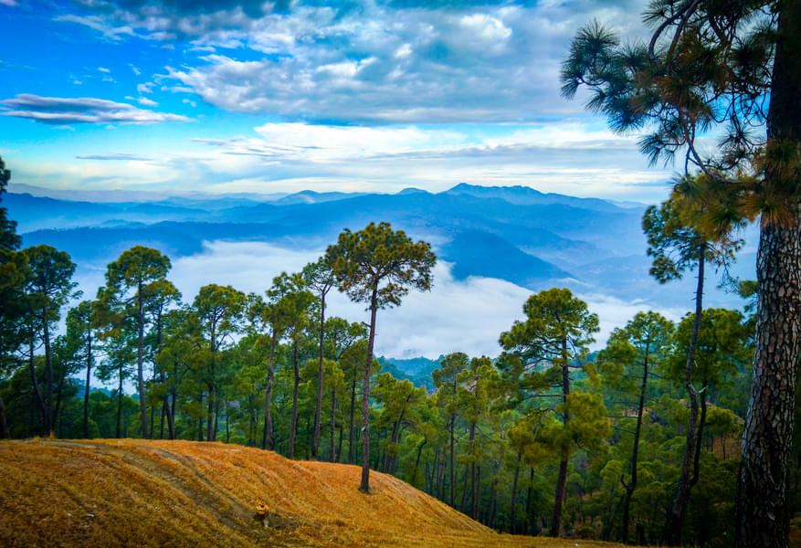 Ranikhet Kausani Tour from Kathgodam Image