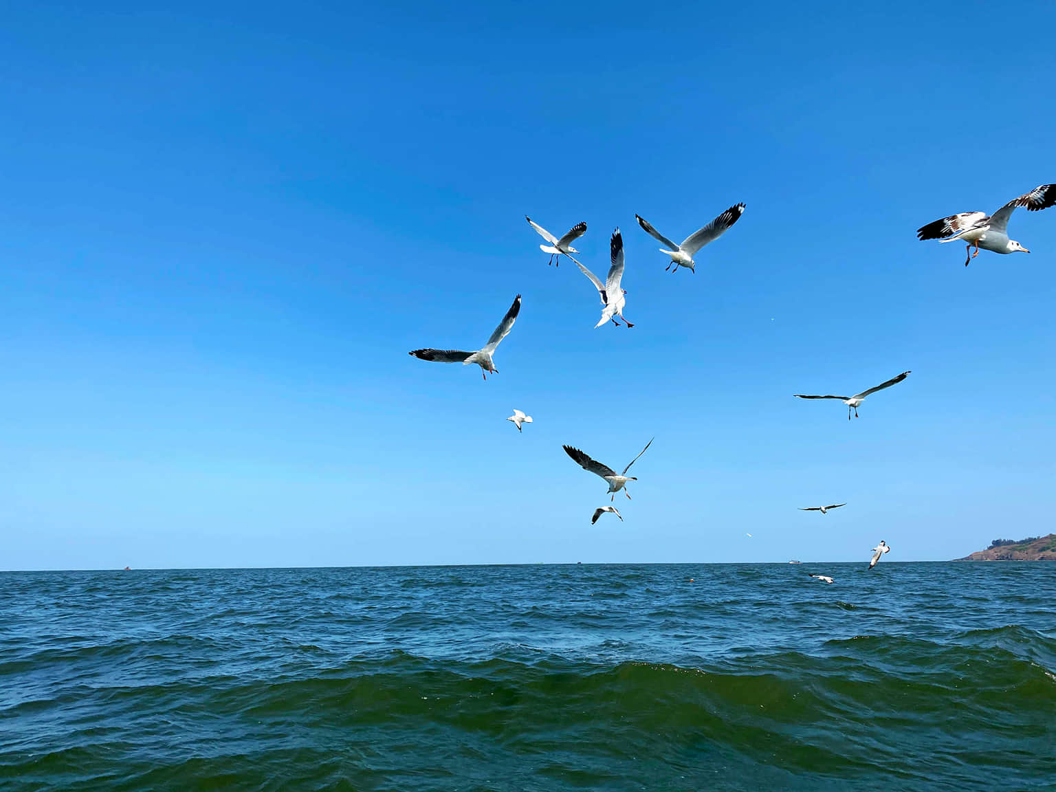 Photo from Lipika Das's trip