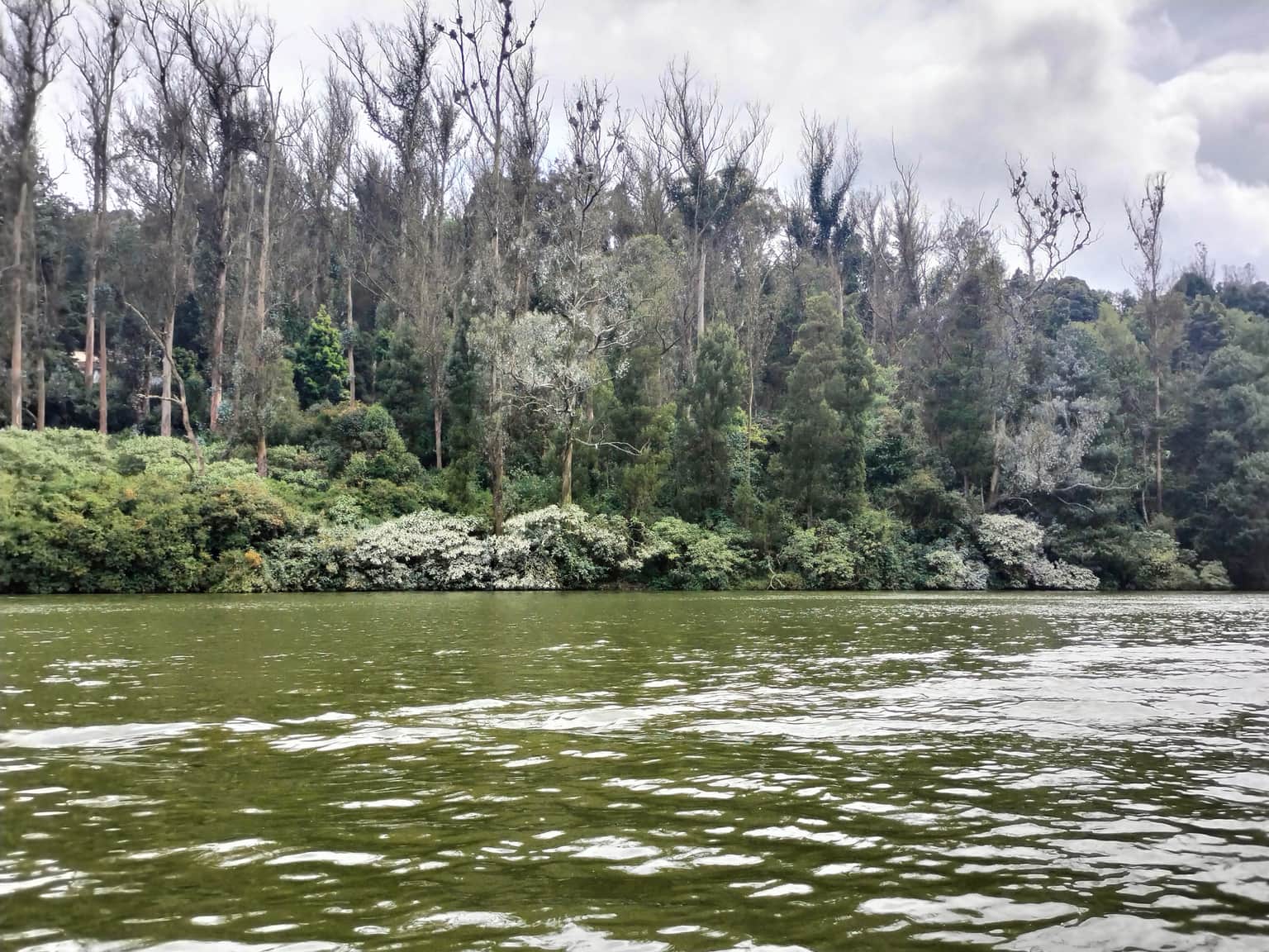 Photo from sivva dharini's trip