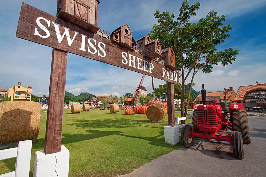 Swiss Sheep Farm