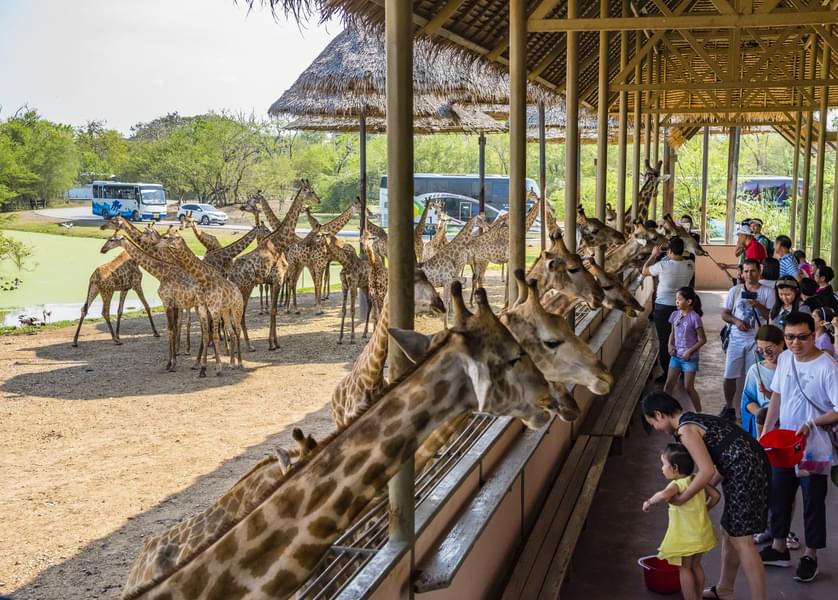 Safari World Bangkok