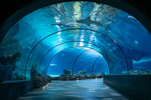 Rotterdam Zoo and Euromast Tickets