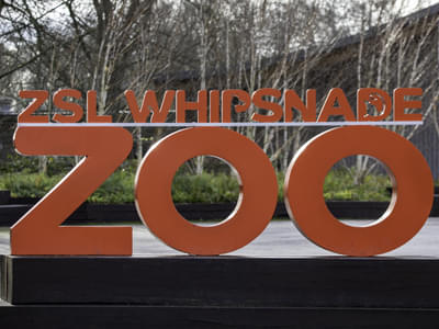 Visit Whipsnade Zoo, the UK's largest conservation park