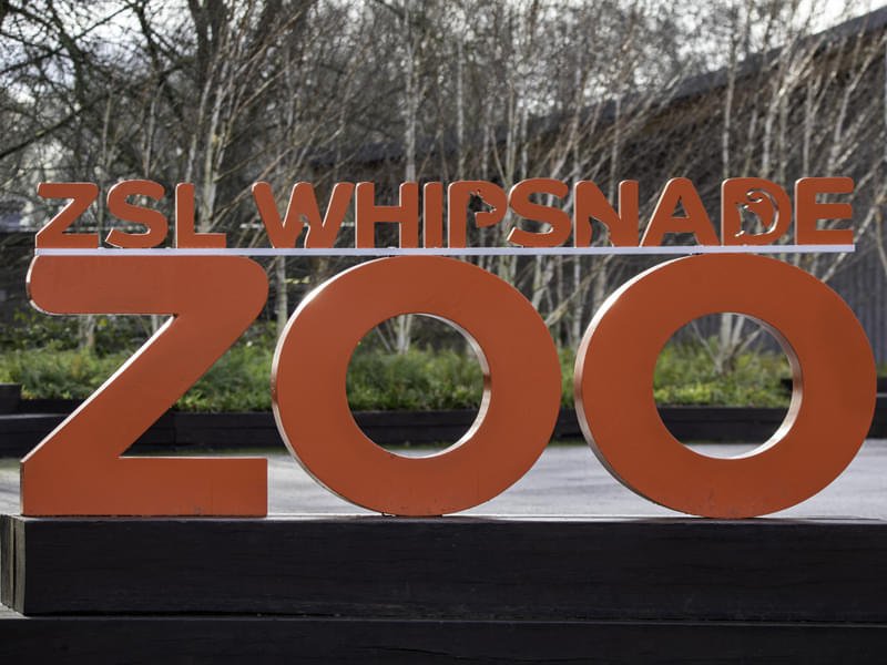 ZSL Whipsnade Zoo Tickets