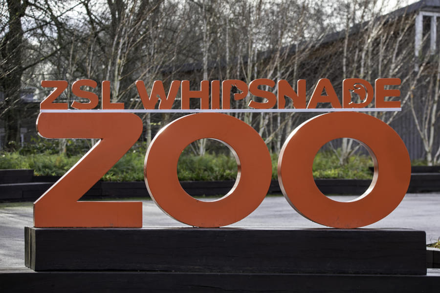 Visit Whipsnade Zoo, the UK's largest conservation park