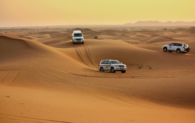 Morning Desert Safari