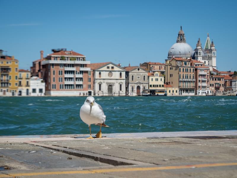 Tips to Visit Doge's Palace