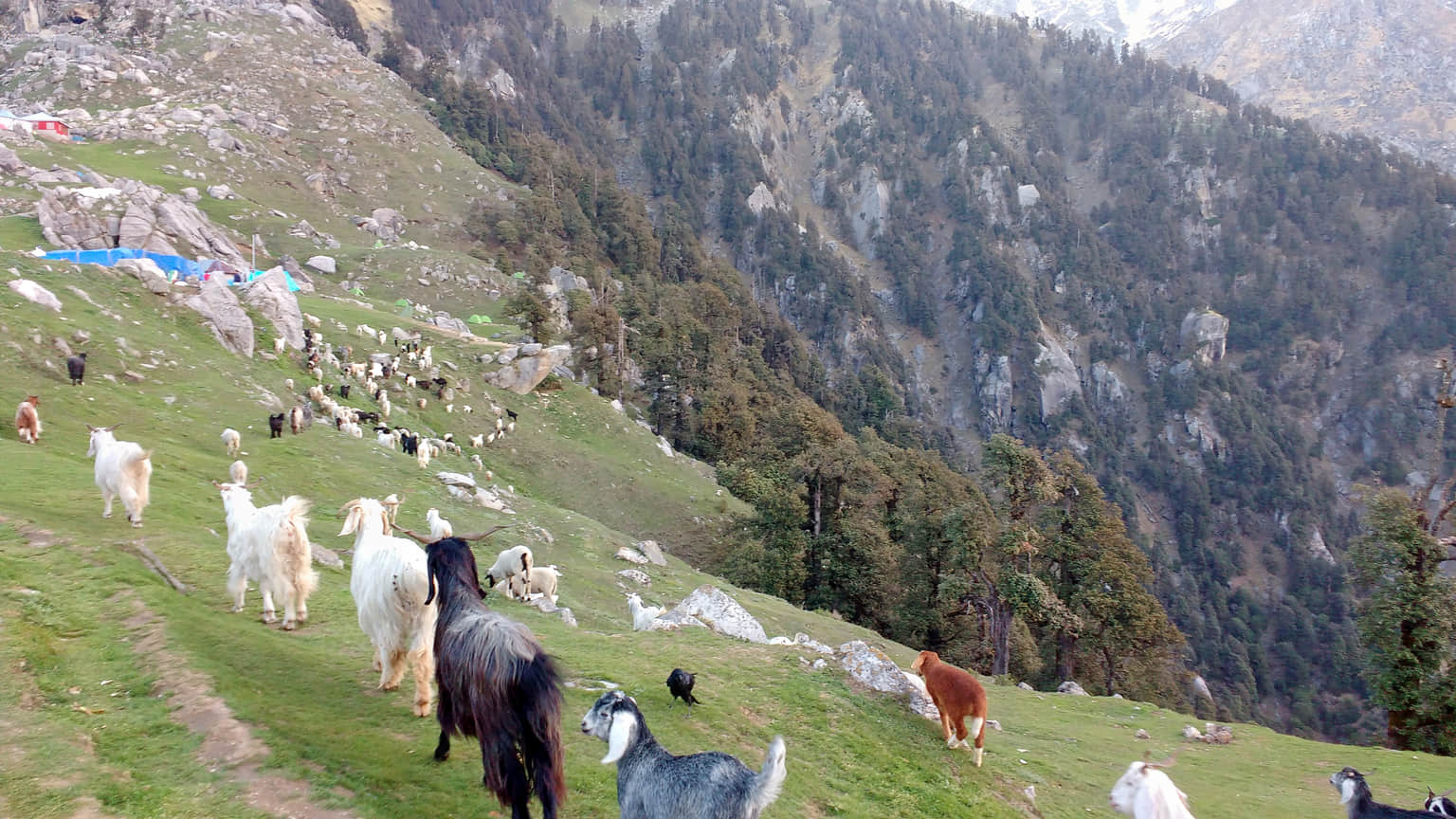 Photo from Devam Bajaj's trip