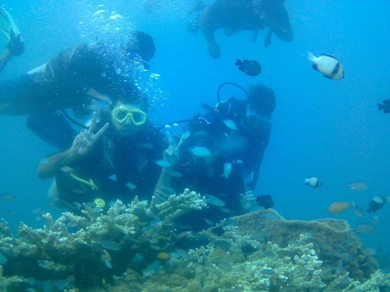 Photo from Harshil Padia's trip