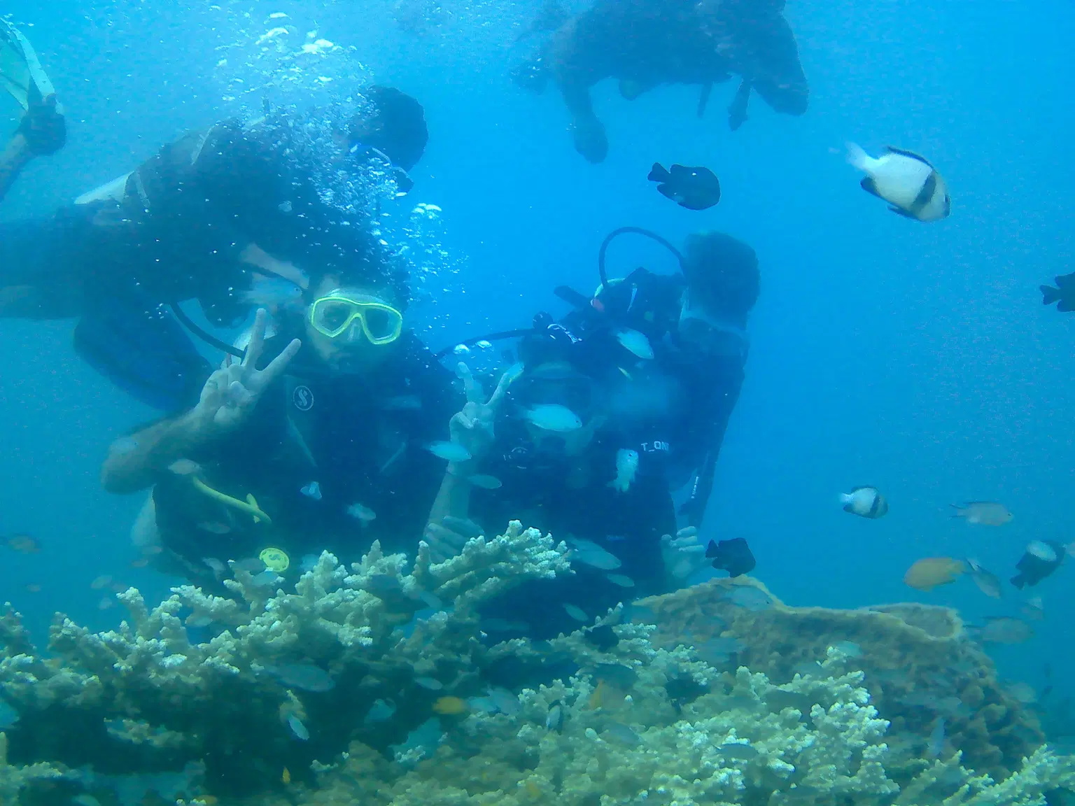 Photo from Harshil Padia's trip