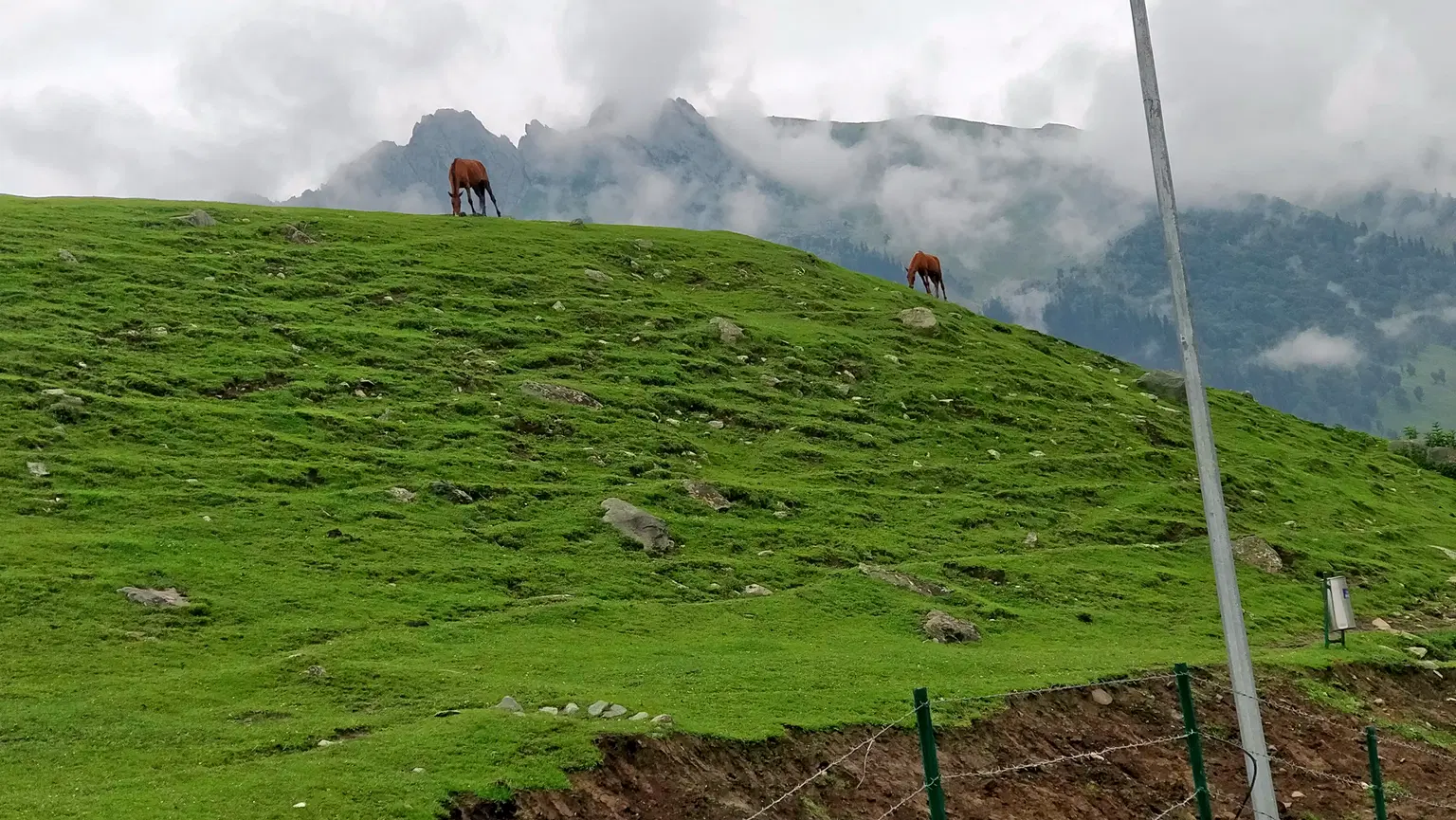 Photo from Addala shiva's trip
