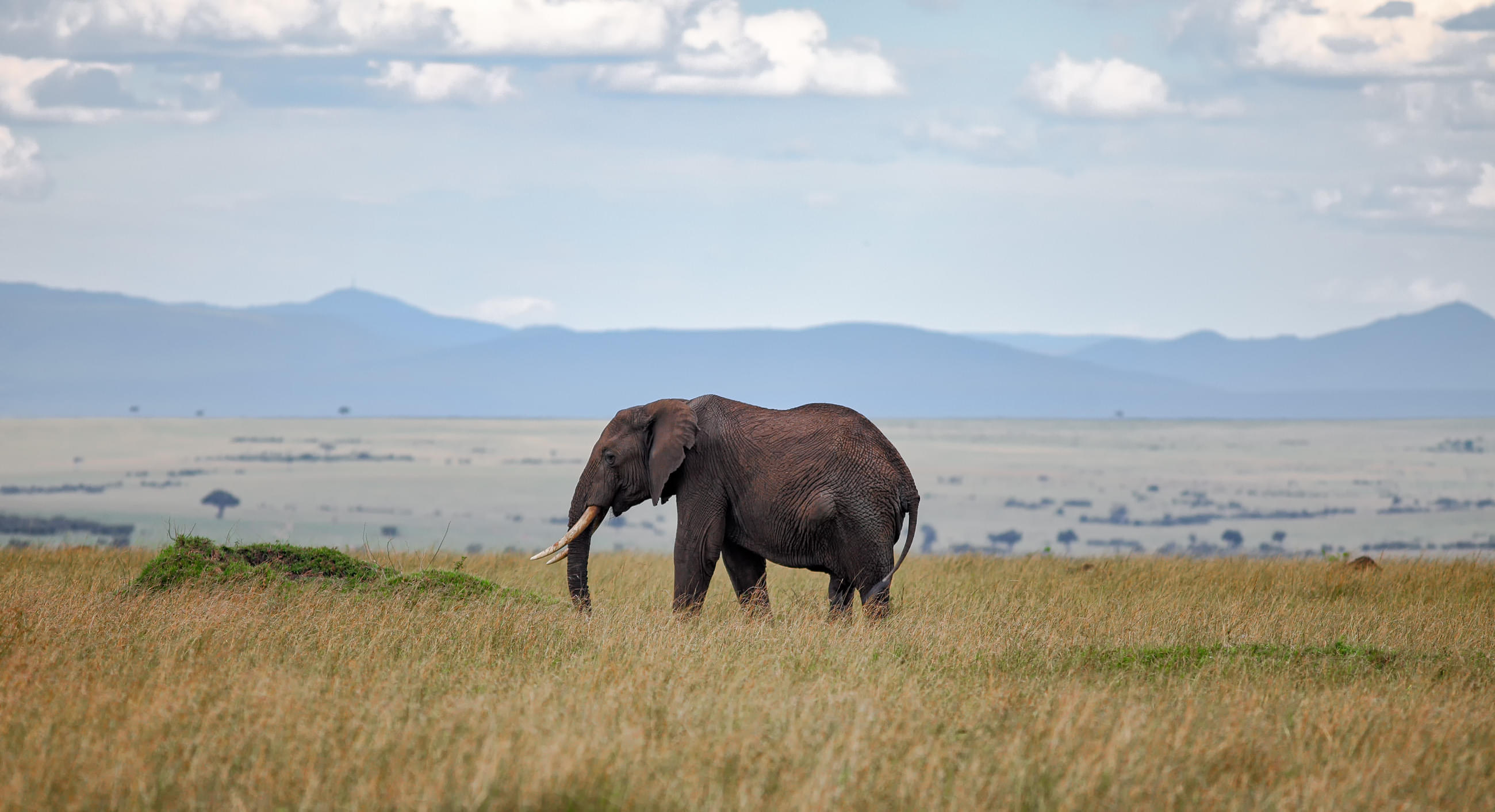 Arabuko Sokoke National Reserve