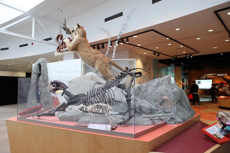 Science World Tickets, Vancouver Image