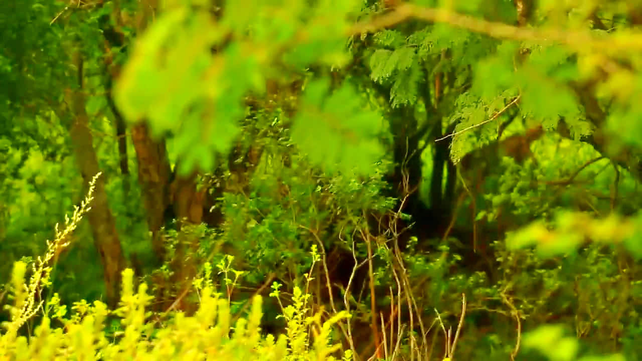 Photo from Chandraketu Bharadwaj's trip