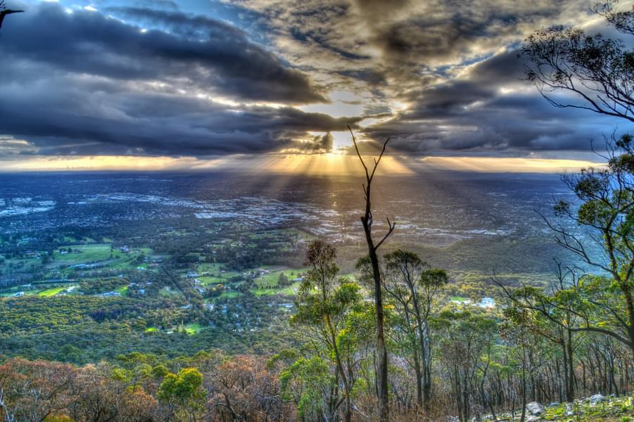 The Dandenongs And Yarra Ranges Tour Image