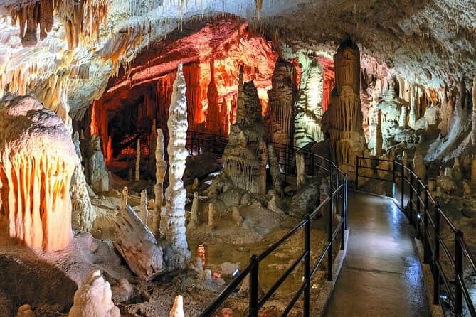 Participate in the tour