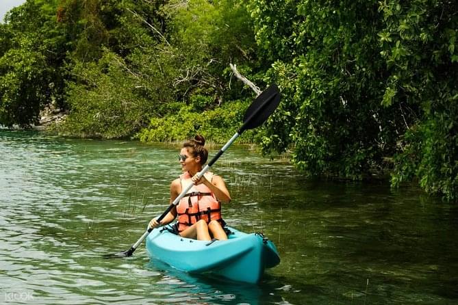 Private Mangrove Kayak Tour in Langkawi Image