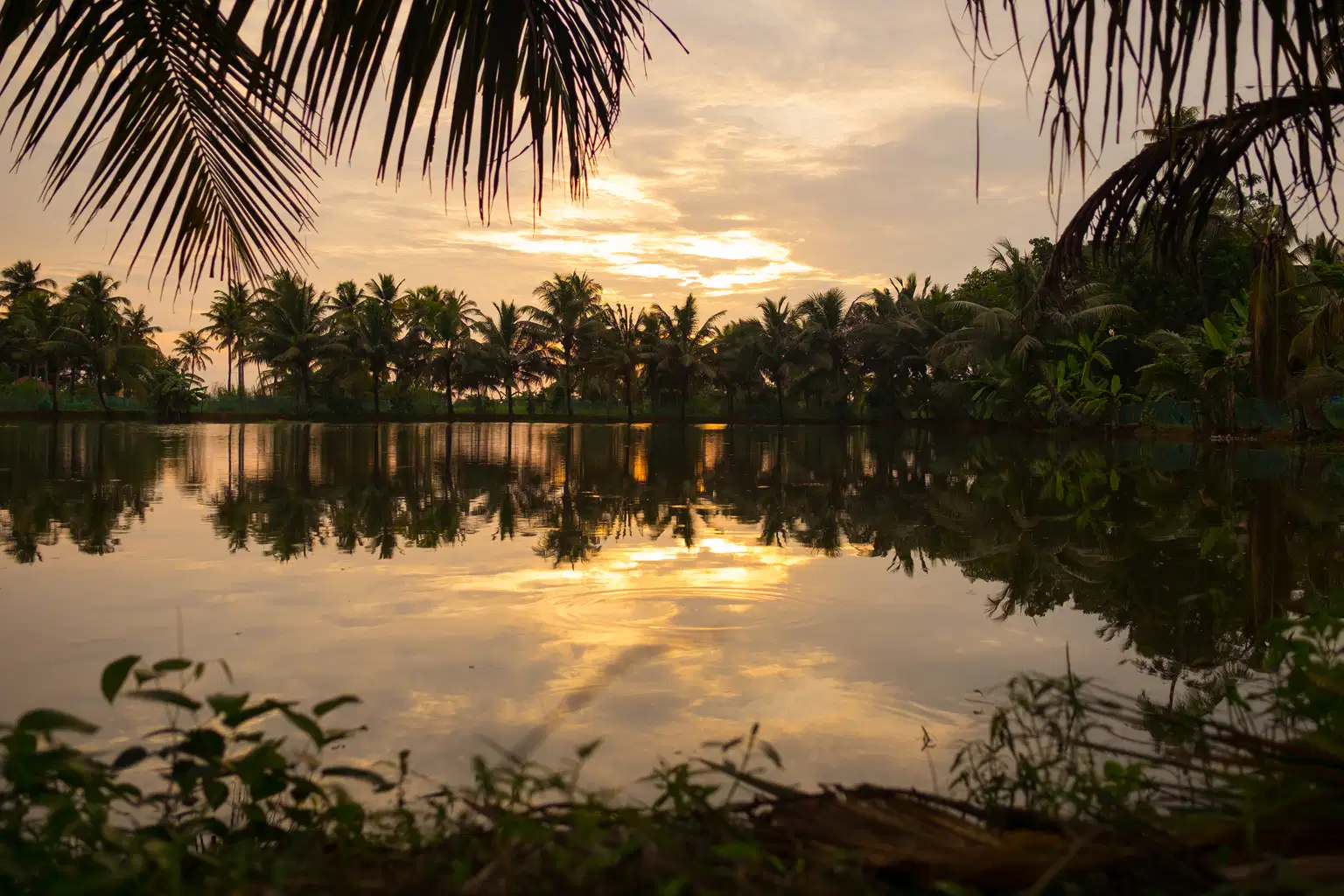 Alleppey Night Walking Tour