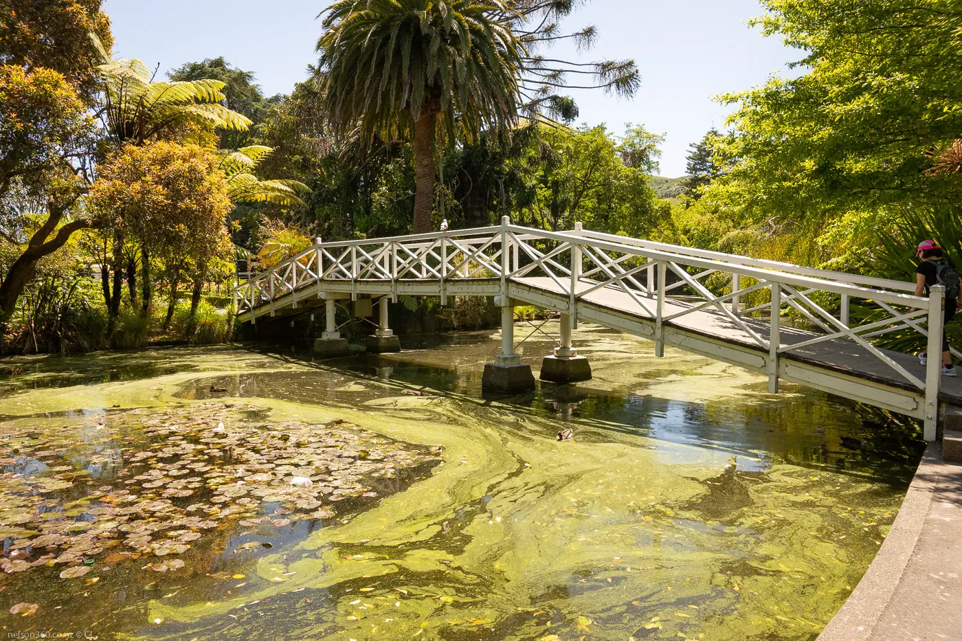 Queen's Garden, <em>Nelson</em>