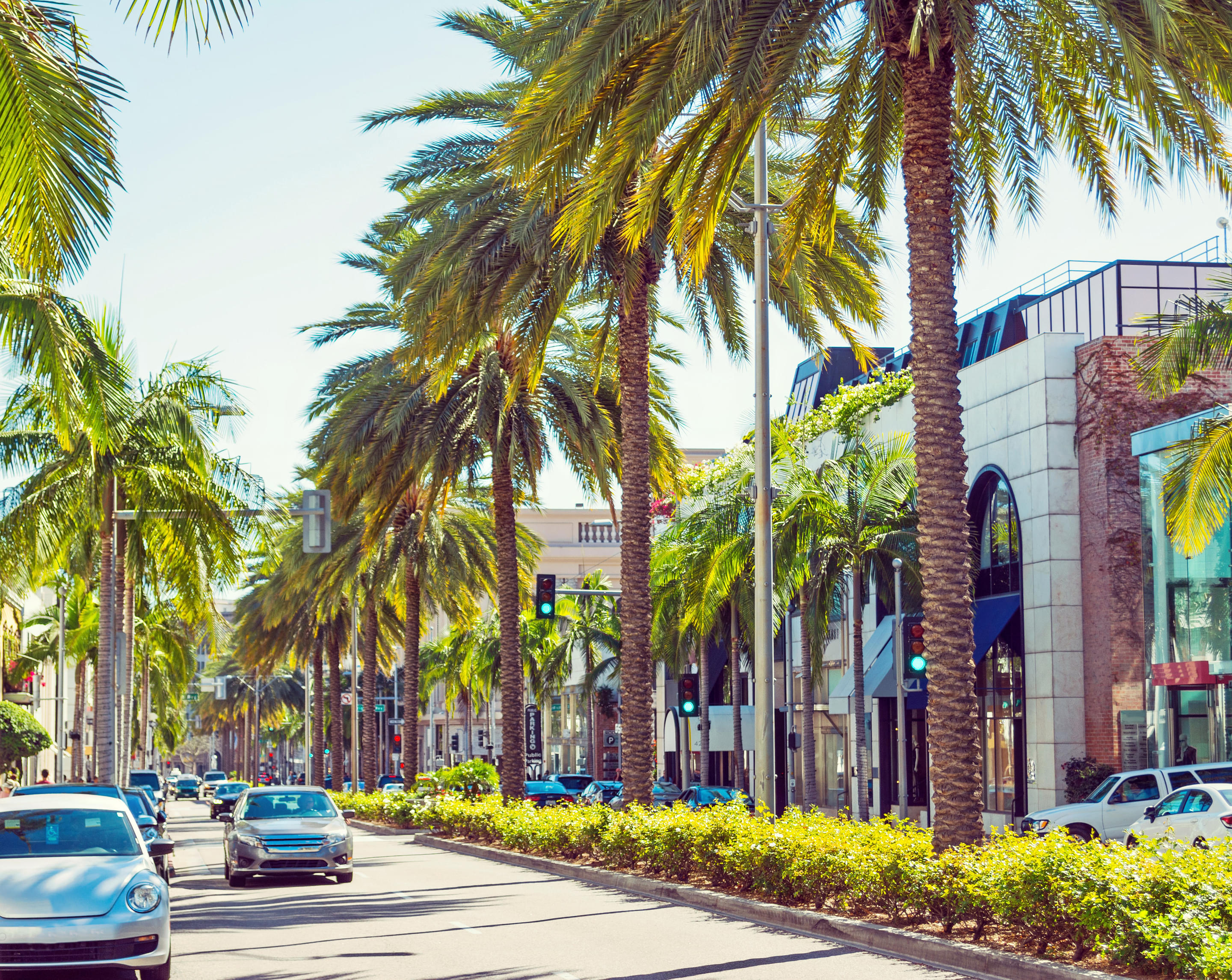 Rodeo Drive Overview