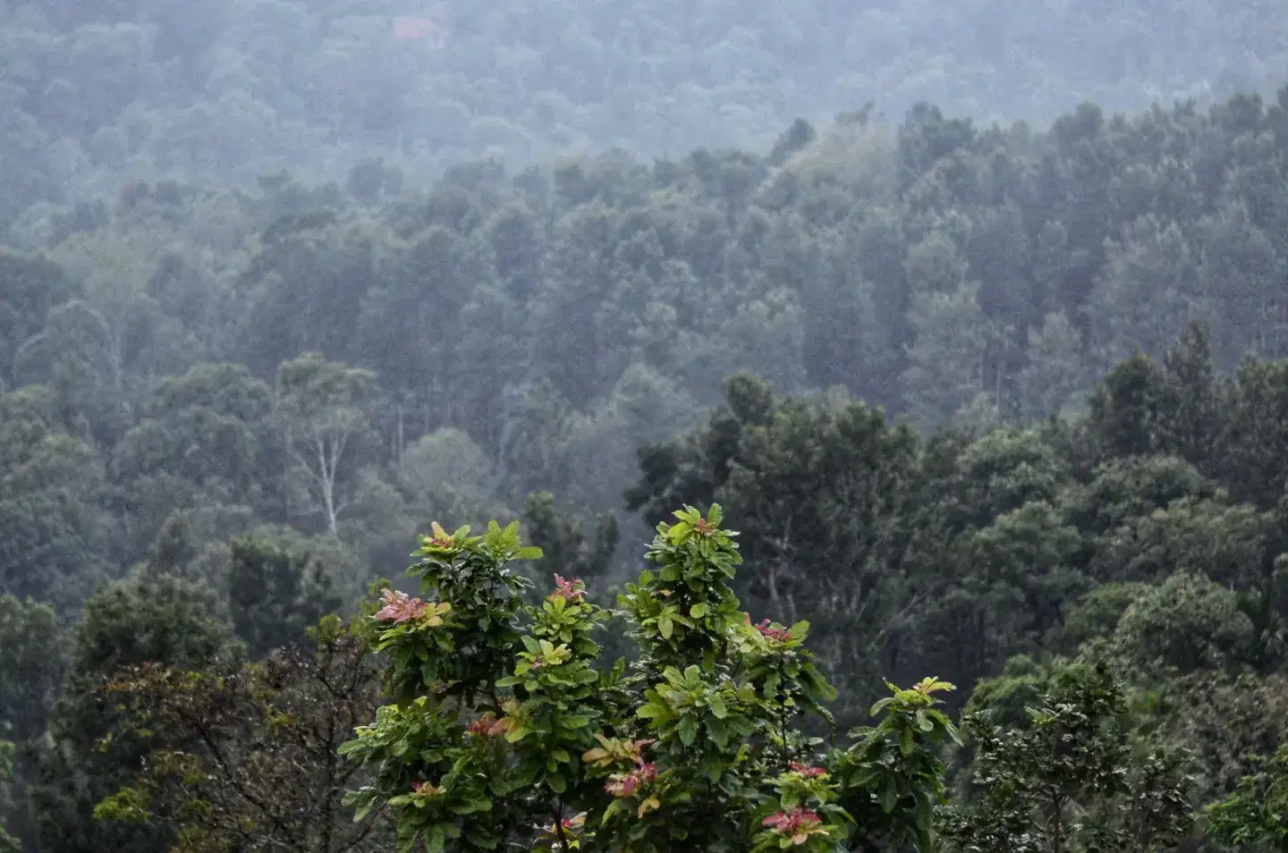 Photo from Himanshu Shah's trip
