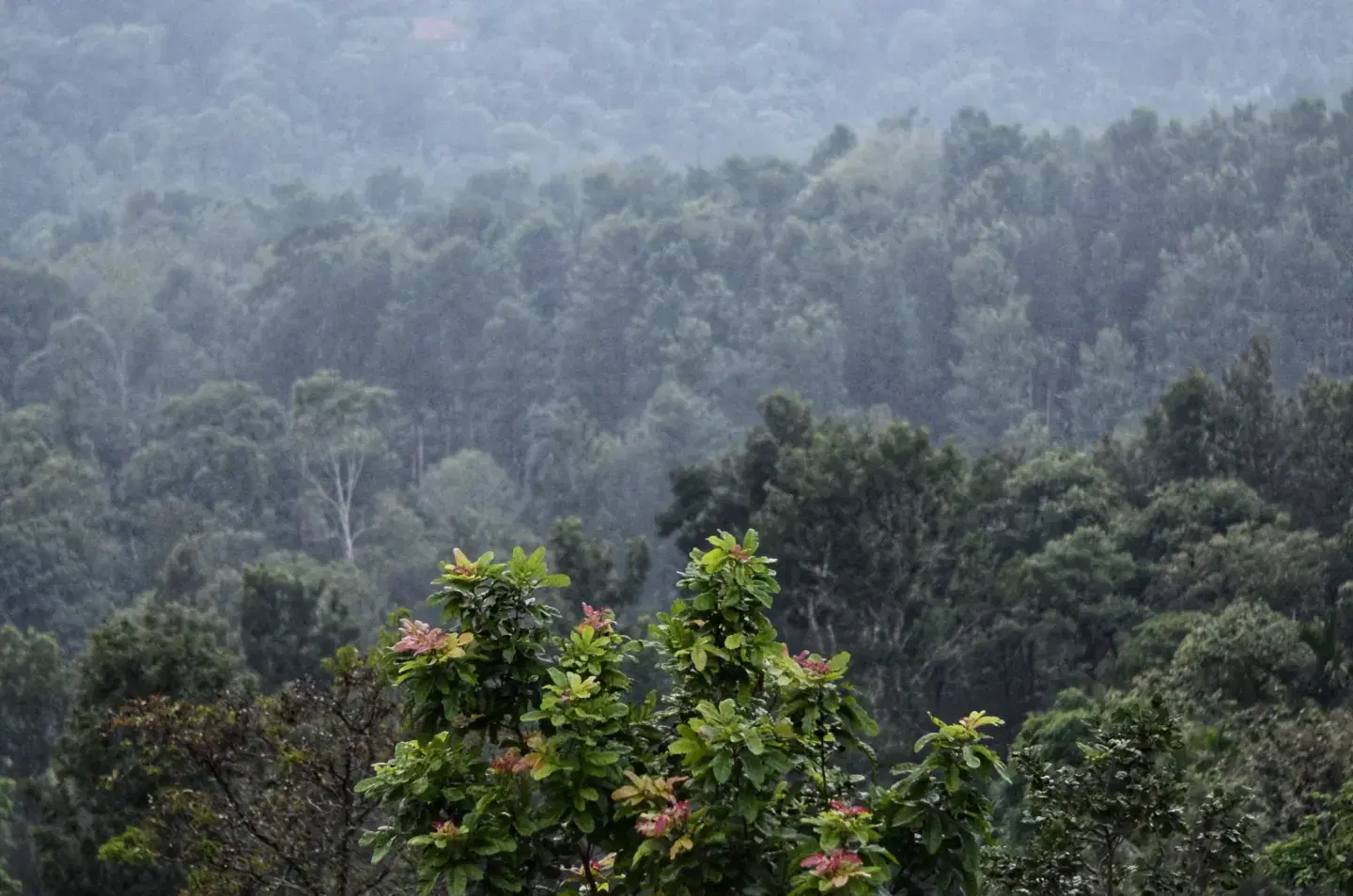 Photo from Himanshu Shah's trip