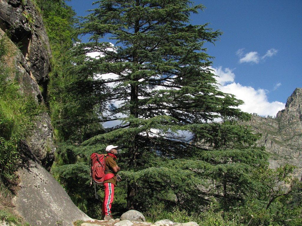 Bagini Glacier Trek