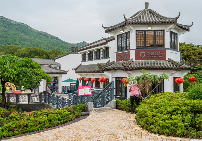 Lantau Island Sightseeing Tour Image