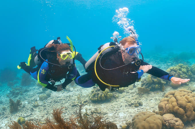 Scuba Diving Experience in Mahabalipuram
