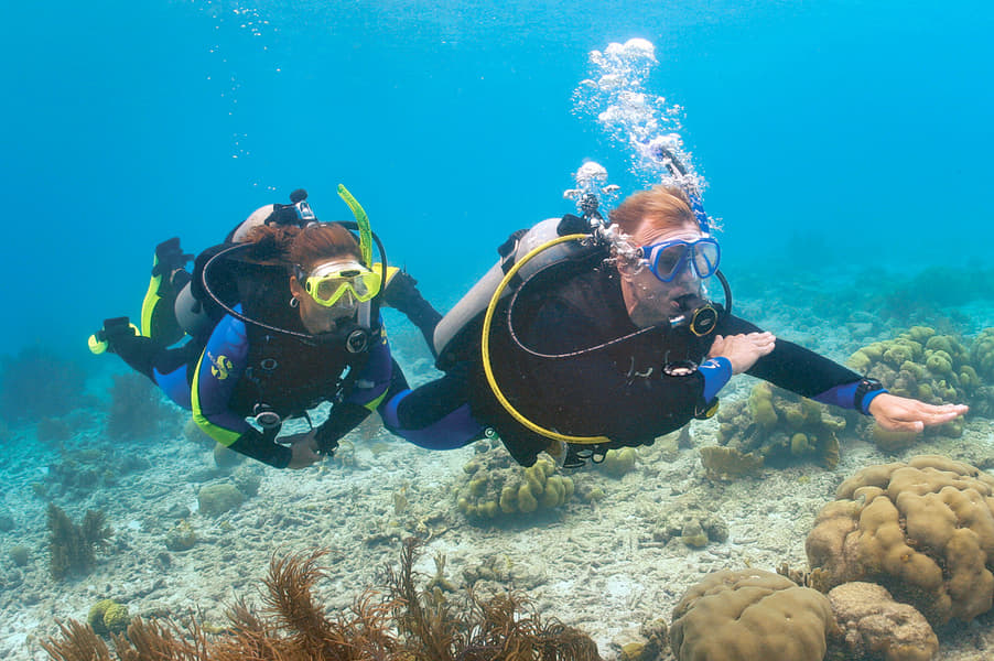 Scuba Diving Experience in Mahabalipuram Image