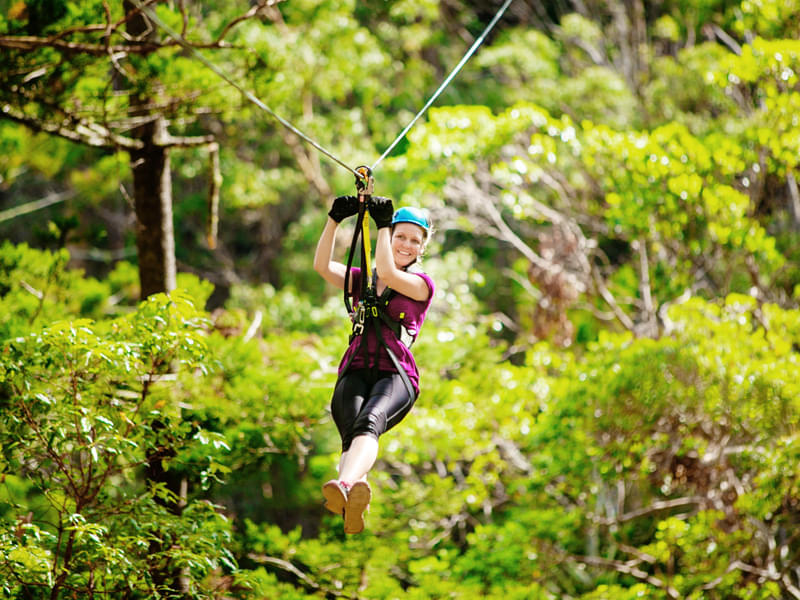 Enjoy Australia’s Largest Guided Zipline Tour 