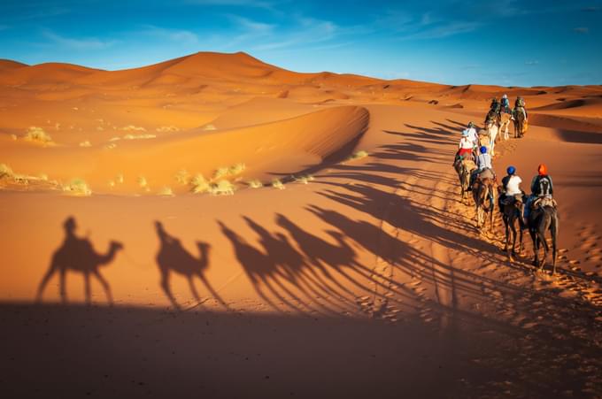 camel rides dubai