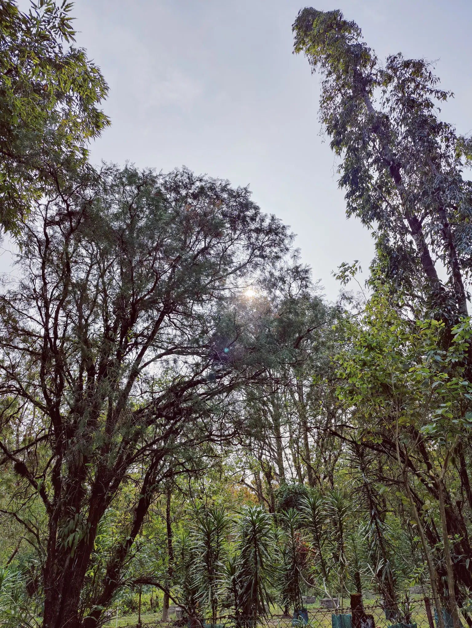 Photo from Geetesh P  Bemblikar's trip