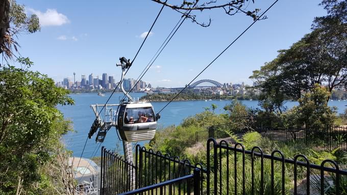 Taronga Zoo Sydney Tickets