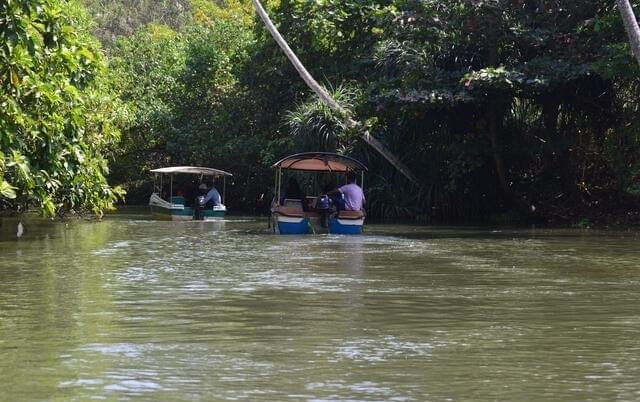 Take a boat ride to the island