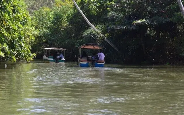 Take a boat ride to the island