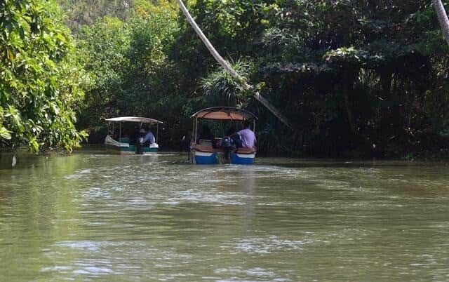 Take a boat ride to the island