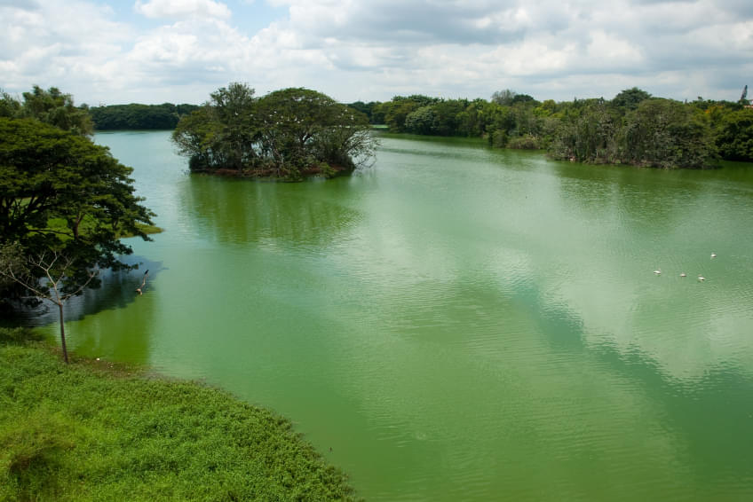 Karanji Lake Overview