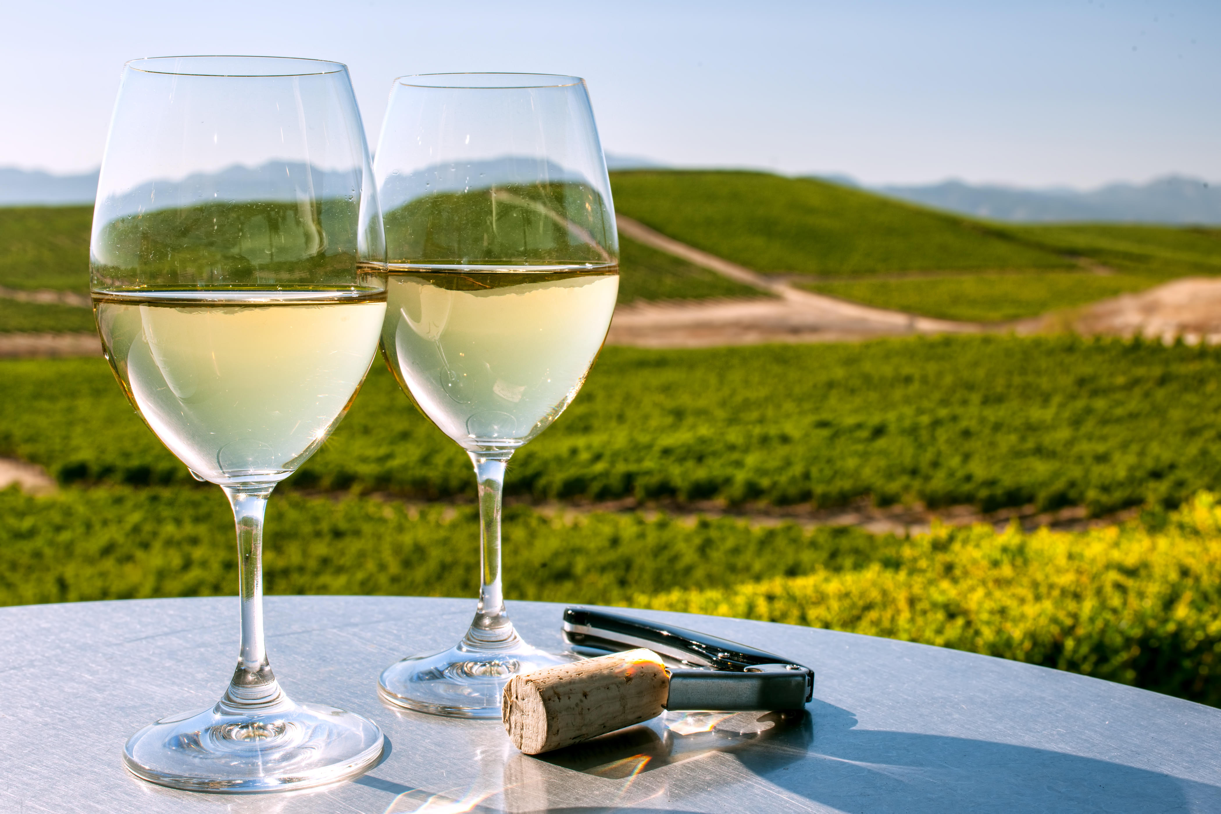 Sonoma Tour Packages | Upto 40% Off